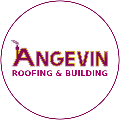 angevin logo 2 circle