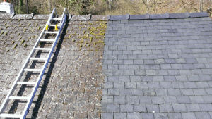 roof moss removal service sussex