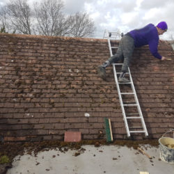 roof cleaning bexhill sussex g16