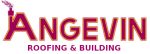 angevin logo 2 rectangle